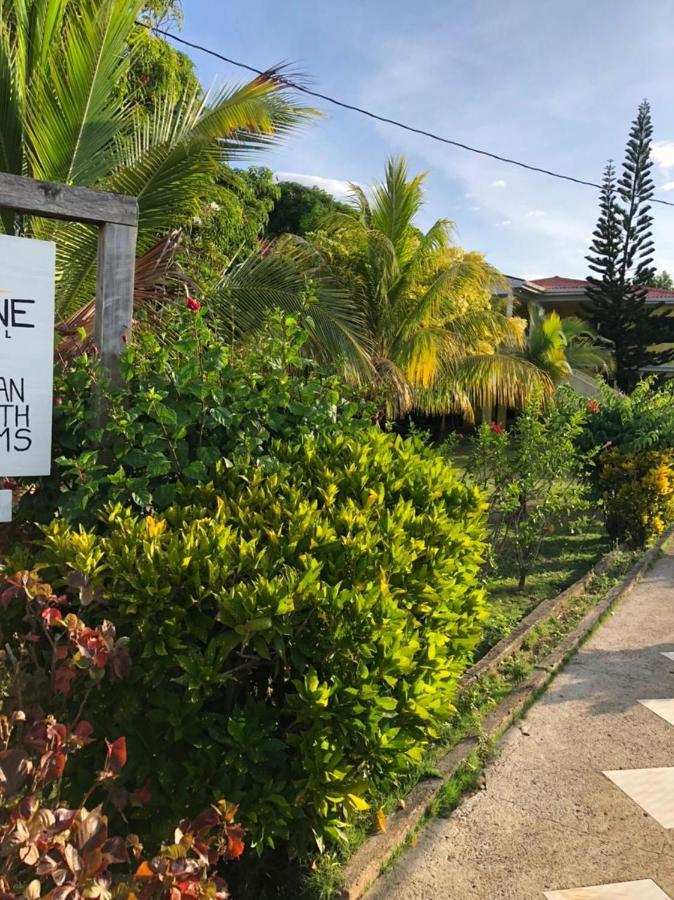 Sunshine Hotel جزيرة ليتل كورن المظهر الخارجي الصورة