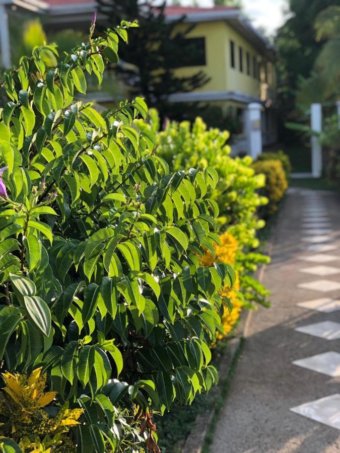 Sunshine Hotel جزيرة ليتل كورن المظهر الخارجي الصورة
