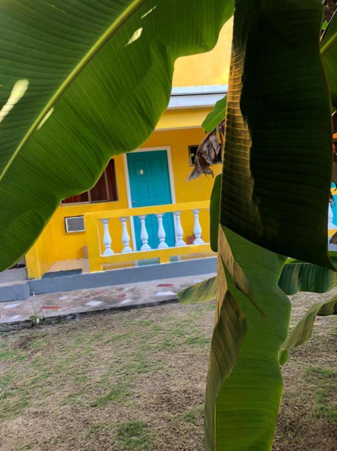 Sunshine Hotel جزيرة ليتل كورن المظهر الخارجي الصورة
